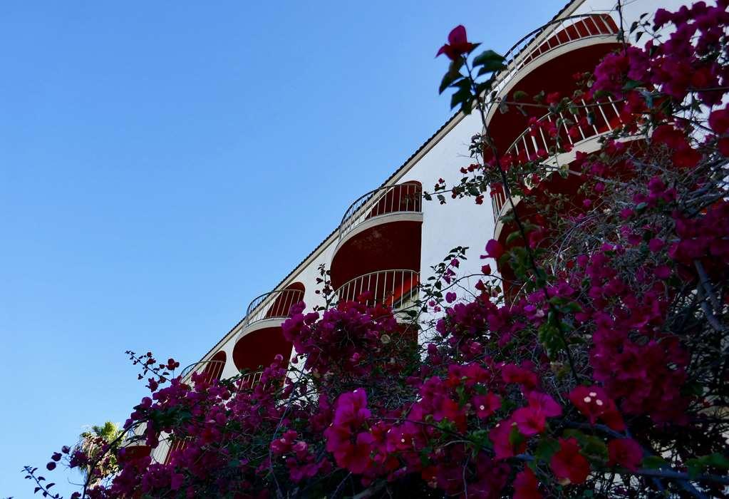 Golden Sails Hotel Long Beach Fasilitas foto