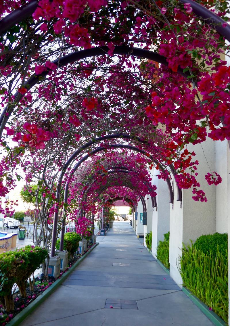 Golden Sails Hotel Long Beach Bagian luar foto
